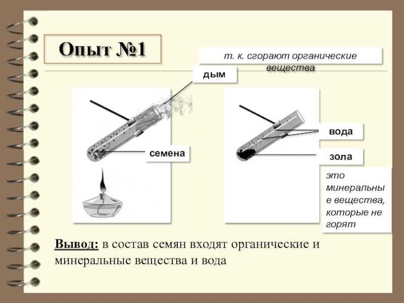 Гдз по биологии 10 класс