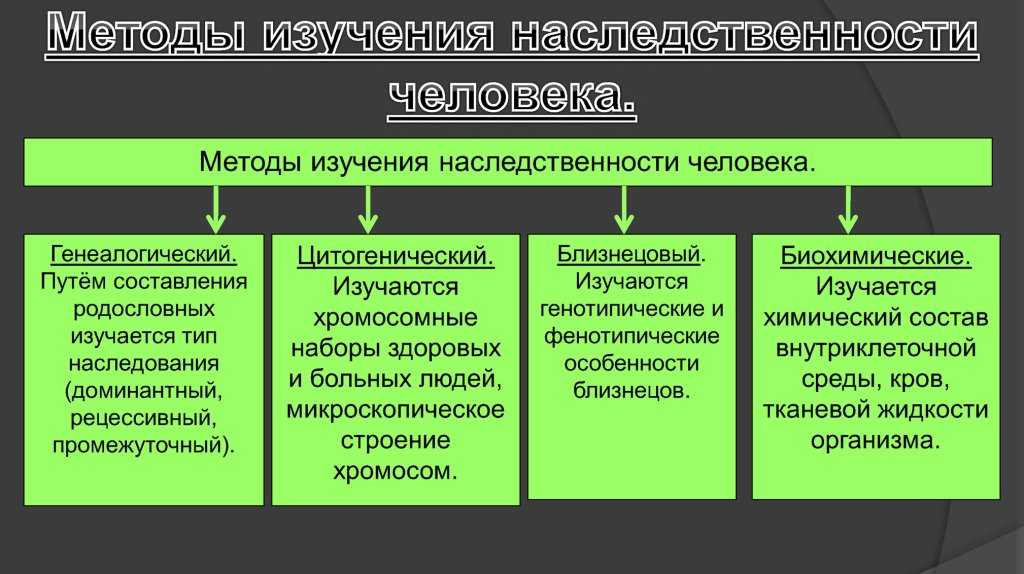 Гдз решебник по биологии 9 класс пасечник, швецов рабочая тетрадь просвещение