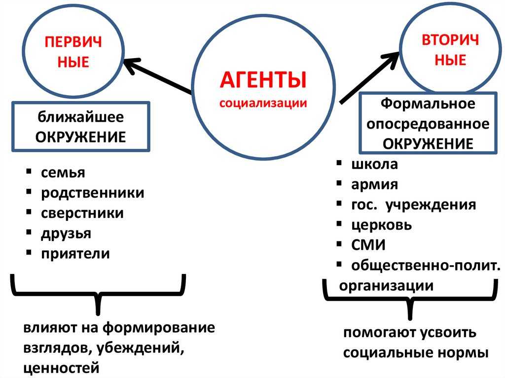 Социализация в 8 классе: что это такое и как она изучается на уроках обществознания
