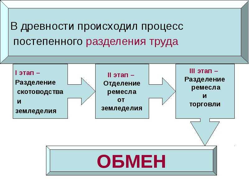 Обществознание боголюбов учебник §5 | 7 класс онлайн