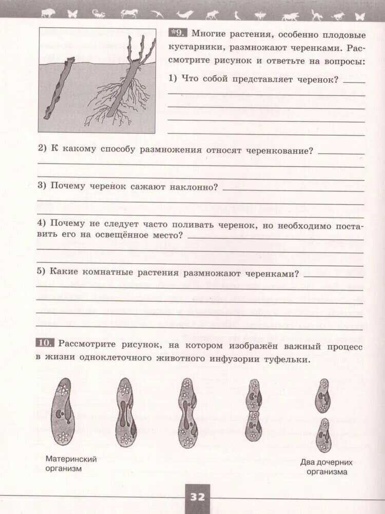 Гдз по биологии 11 класс пасечник, каменский, учебник просвещение 2018