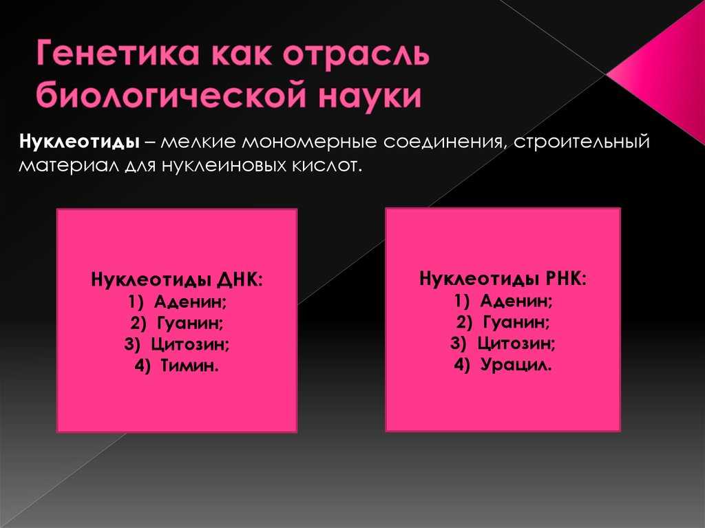 № §16  гдз ответы по биологии учебник 9 класс пасечник - izi5.ru