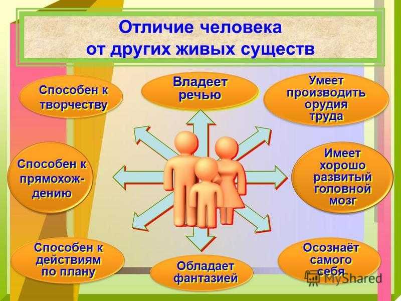 Гдз параграф 1. человек — личность обществознание 6 класс боголюбов, иванова
