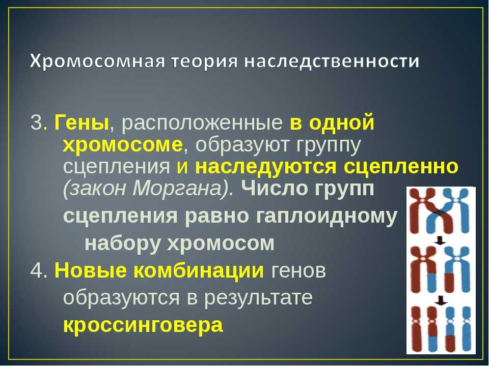 Гдз и решебник биология 9 класс пасечник, швецов - рабочая тетрадь