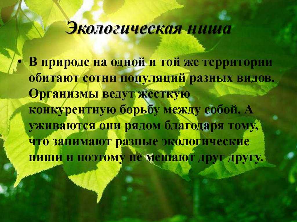 Гдз решебник по биологии 11 класс