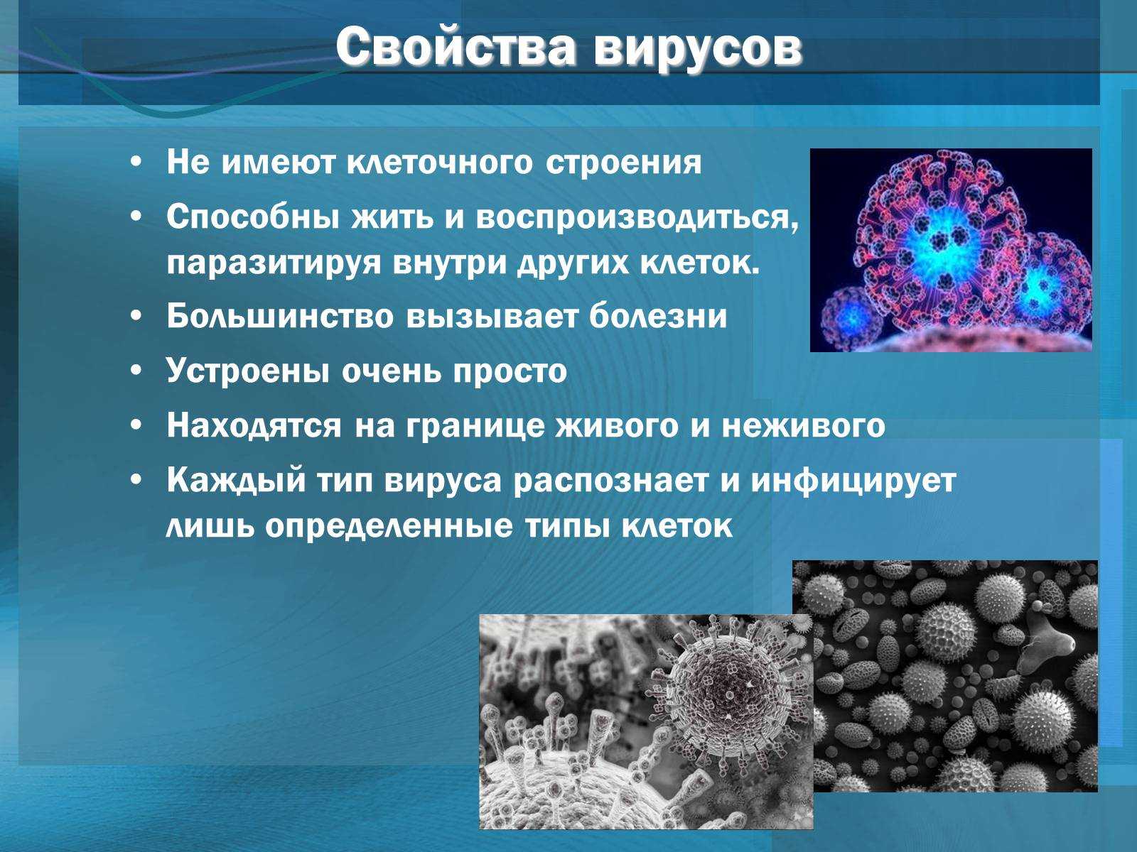 Гдз по биологии 9 класс  пасечник