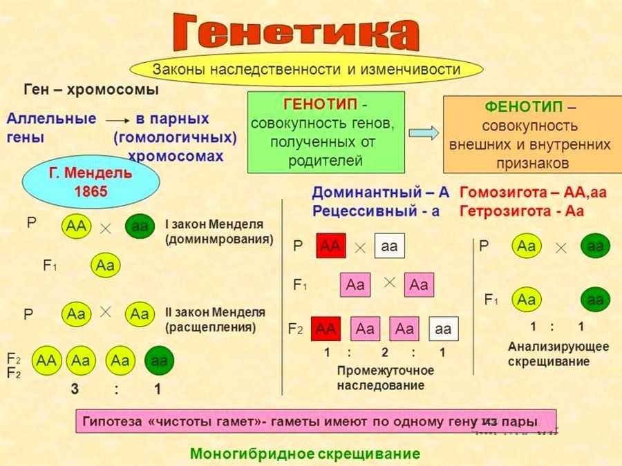 Ответы к домашке по биологии 7 класс пасечник рабочая тетрадь линия жизни 2020