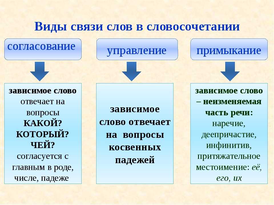 Виды словосочетаний: согласование, управление, примыкание