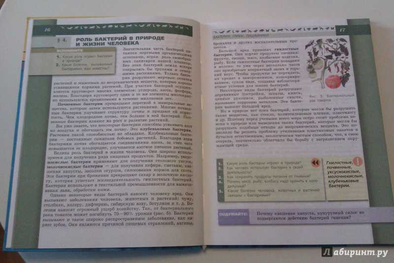Гдз по биологии 11 класс учебник пасечник, каменский, рубцов