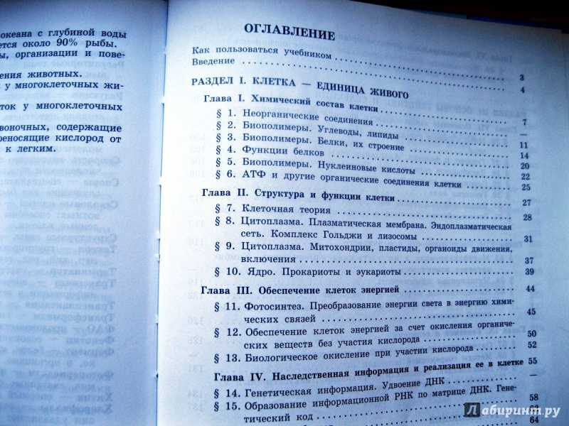 Гдз   по биологии 11 класс бородин п.м., дымшиц г.м., саблина о.в., сергеев м.г., хлесткина е.к., шумный в.к., кузнецова л.н. углубленный уровень
