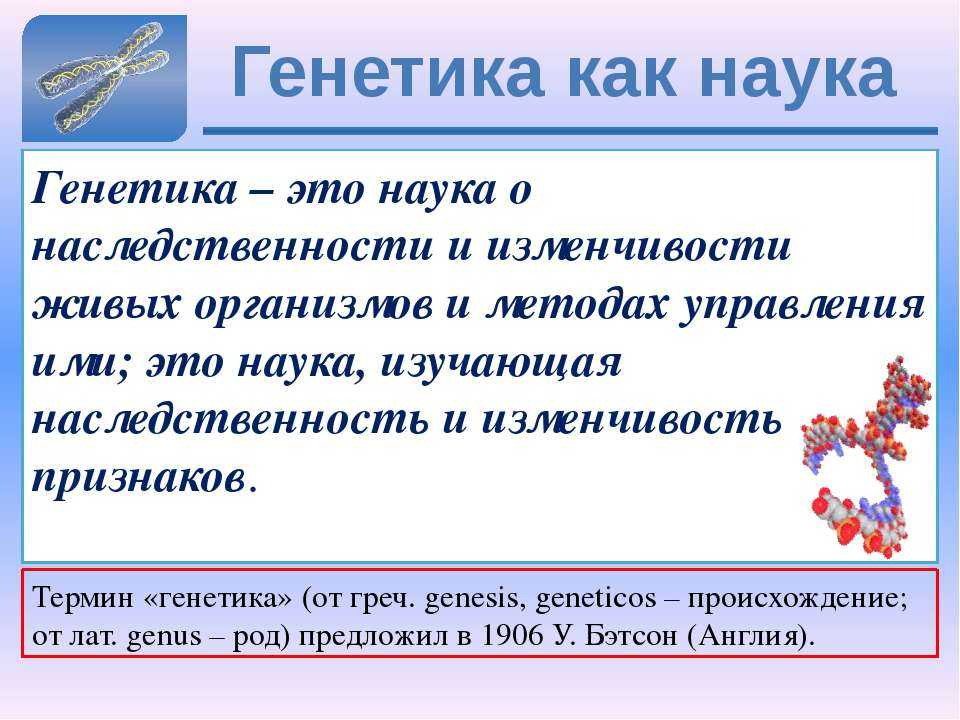Гдз биология 9 класс пасечник, швецов - рабочая тетрадь к учебнику пасечника, швецова