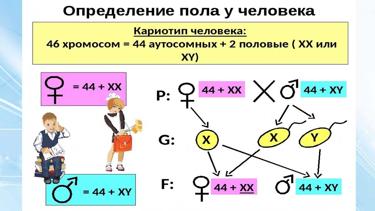 ГДЗ учебник по биологии 9 класс Линия Жизни Пасечник 19 Вспомните Номер 1 Какие гены называют аллельными