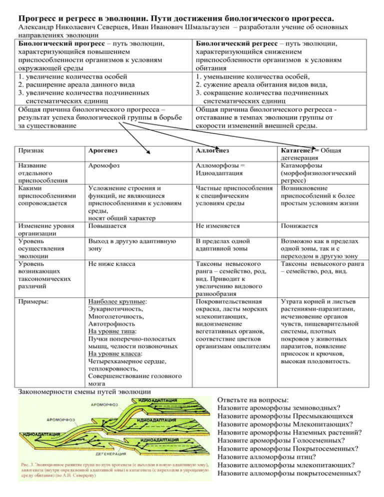 Главные направления эволюционного процесса. биология 11 класс.