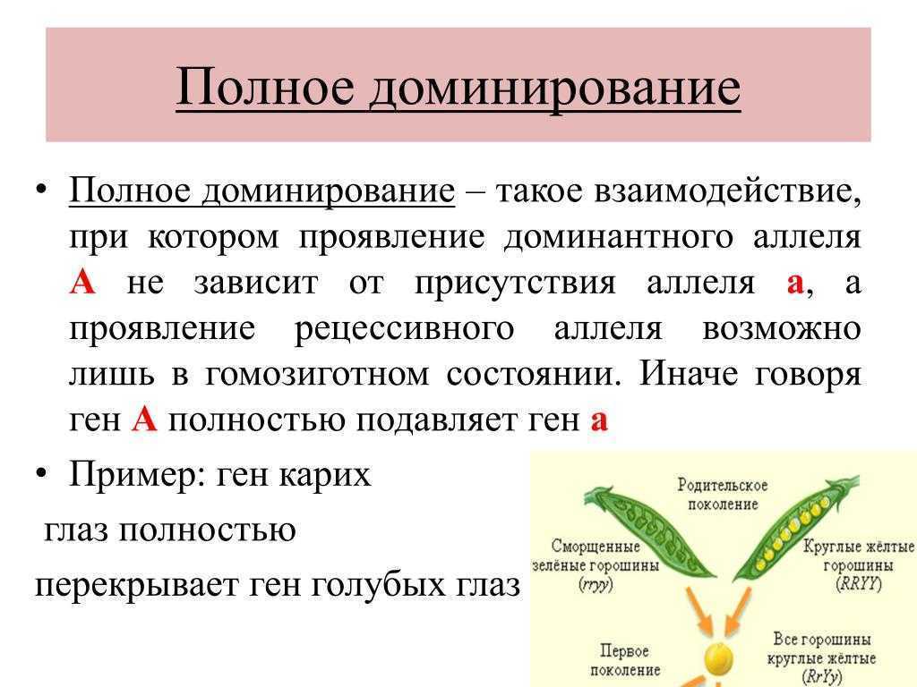 Гдз по биологии 11 класс пасечник, каменский, учебник просвещение 2018