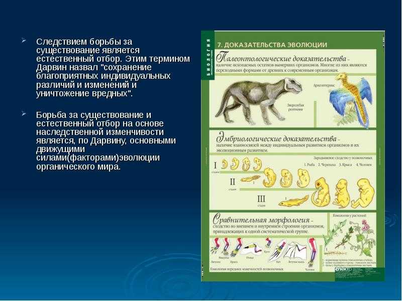 Гдз и решебник биология 9 класс пасечник, швецов - рабочая тетрадь