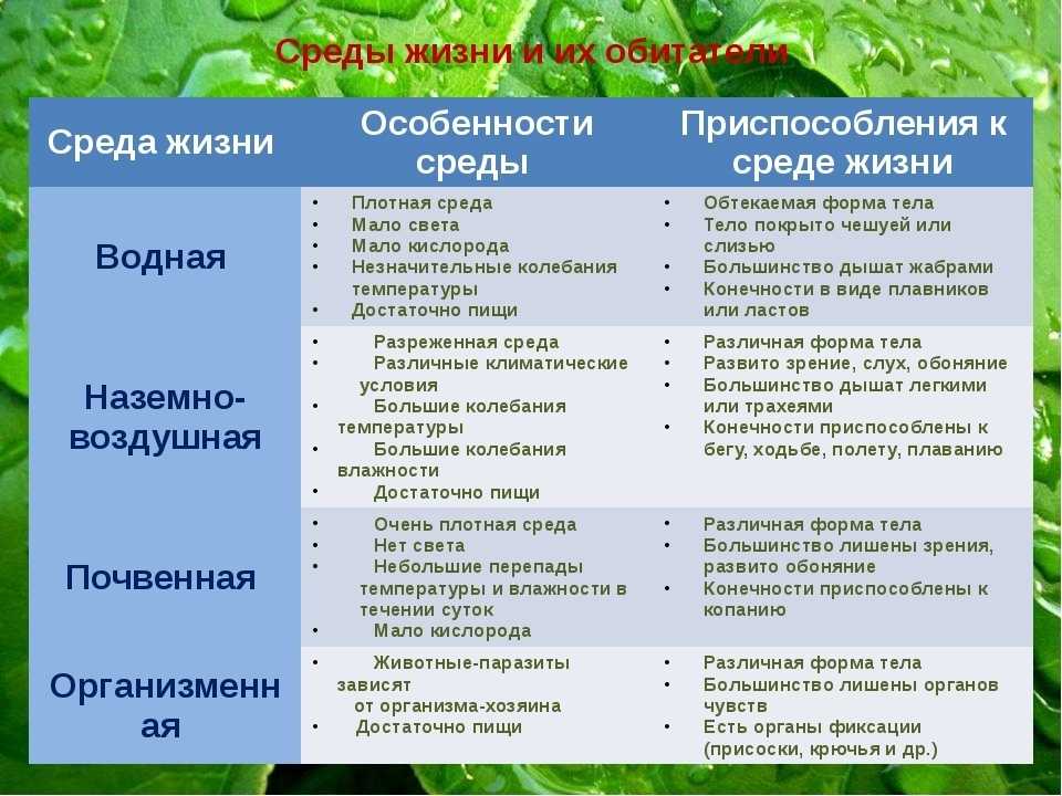 Гдз решебник по биологии 9 класс пасечник, швецов рабочая тетрадь дрофа