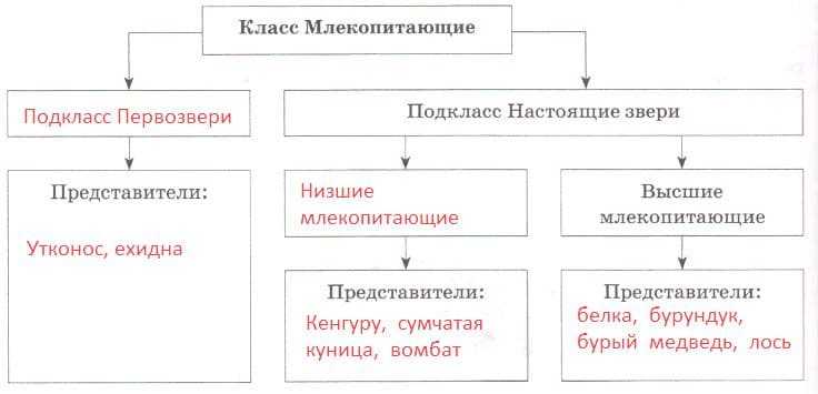 ГДЗ учебник по биологии 11 класс Линия Жизни Пасечник 14 Тренируемся Номер 3 Какое значение имеет репродуктивная изоляция для процессов микроэволюции