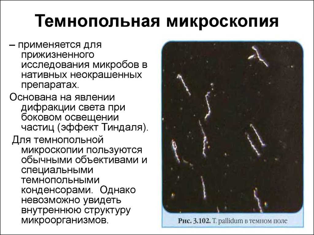 Гдз и решебник биология 9 класс пасечник, швецов - рабочая тетрадь