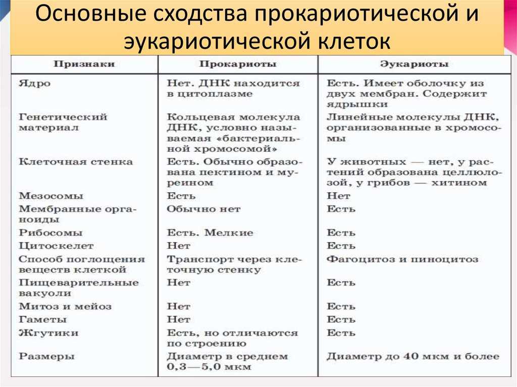 Русский язык огэ 9 класс пасечник ответы