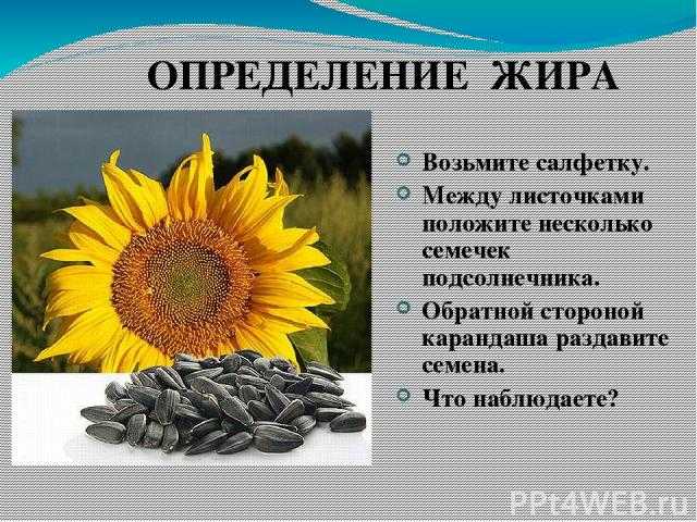 Гдз решебник по биологии 10 класс пасечник, швецов рабочая тетрадь дрофа