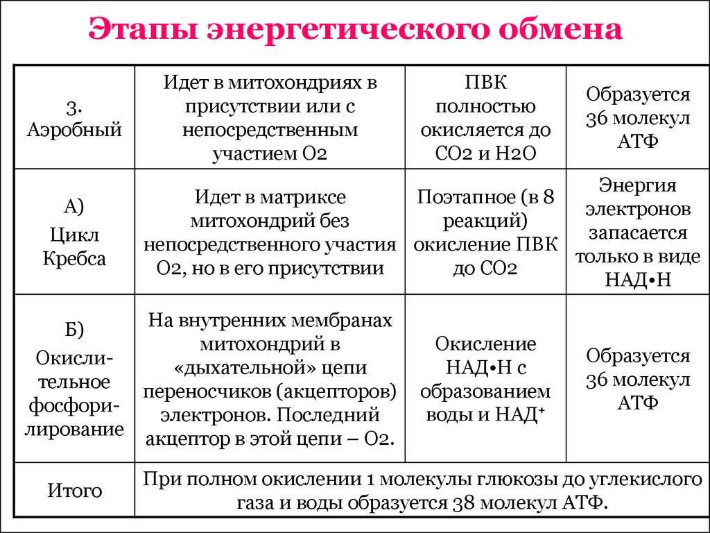 Гдз решебник по биологии 10 класс пасечник, швецов рабочая тетрадь дрофа