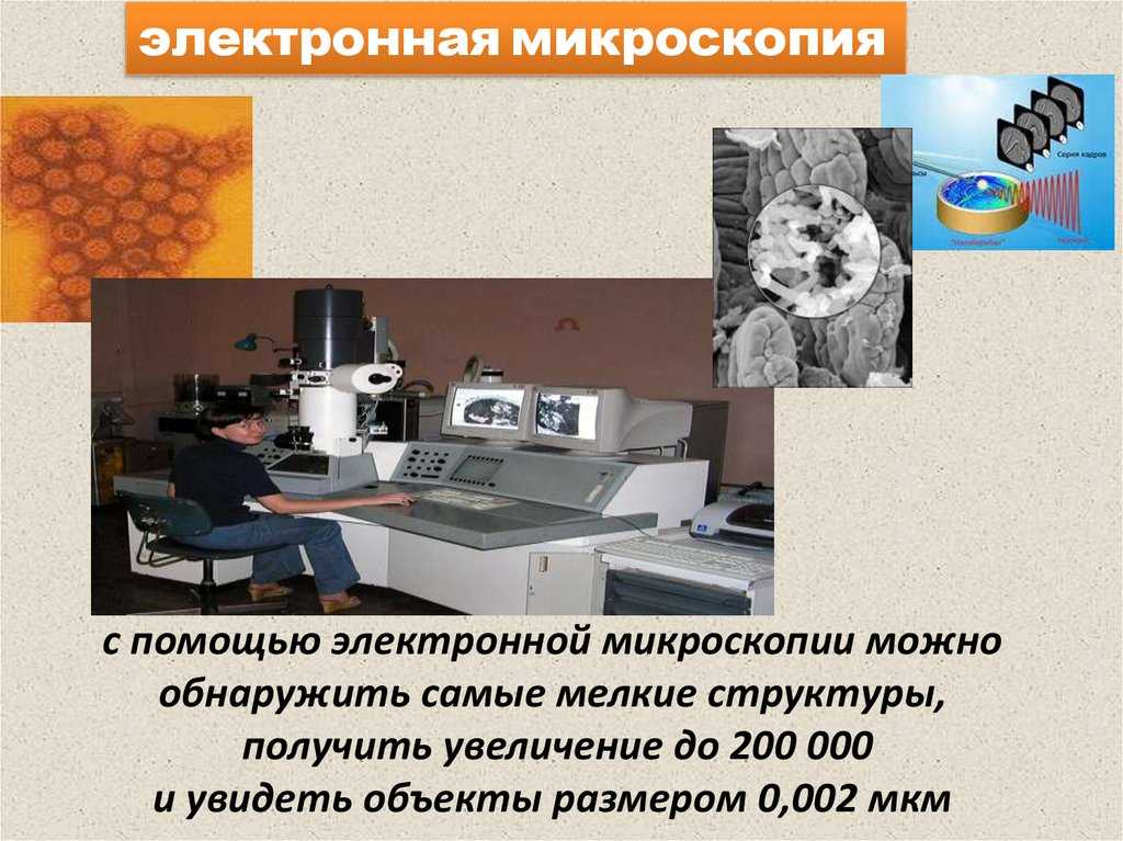 ГДЗ учебник по биологии 9 класс Линия Жизни Пасечник 3 Подумайте Номер 1 Можно ли с помощью электронного микроскопа увидеть бактериальную клетку диаметром 20 мкм