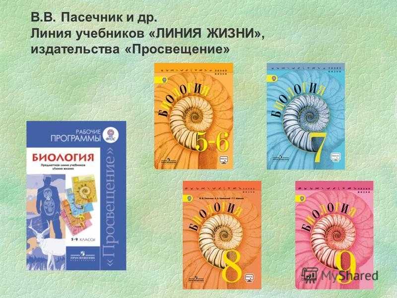 Сообщение на тему синтез белков в клетке. синтез белка в клетках мышц