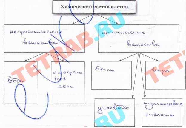 Гдз решебник по биологии 10 класс маглыш учебник дрофа