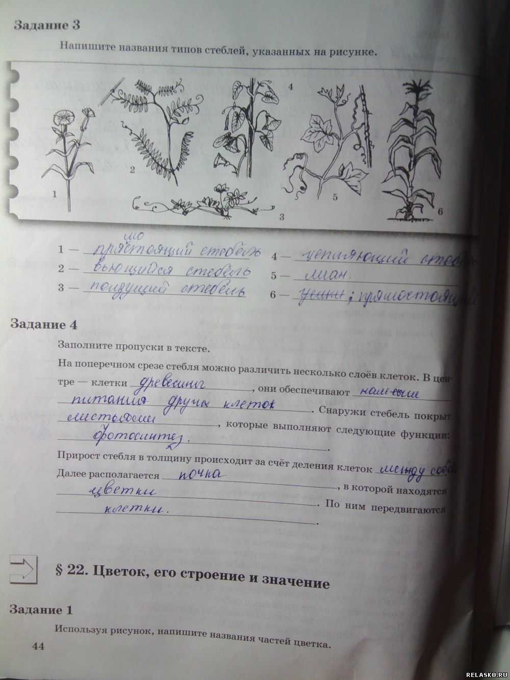 Гдз решебник по биологии 9 класс