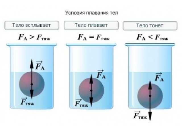 Гдз  по физике 7 класс перышкин ответы к учебнику