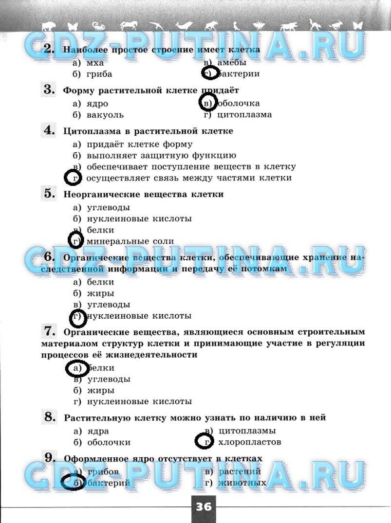 Биология — 9 класс — рабочая тетрадь пасечник, швецов (линия жизни) читать скачать бесплатно – книги, школьные учебники, пособия ‣ всё в купе ‣ для школьников и дошкольников