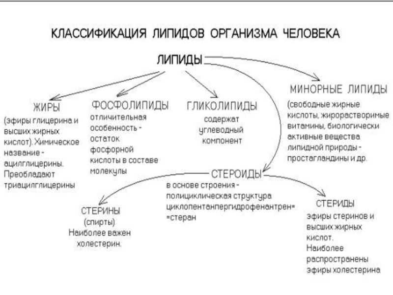 Гдз биология 10 класс пасечник, швецов - рабочая тетрадь