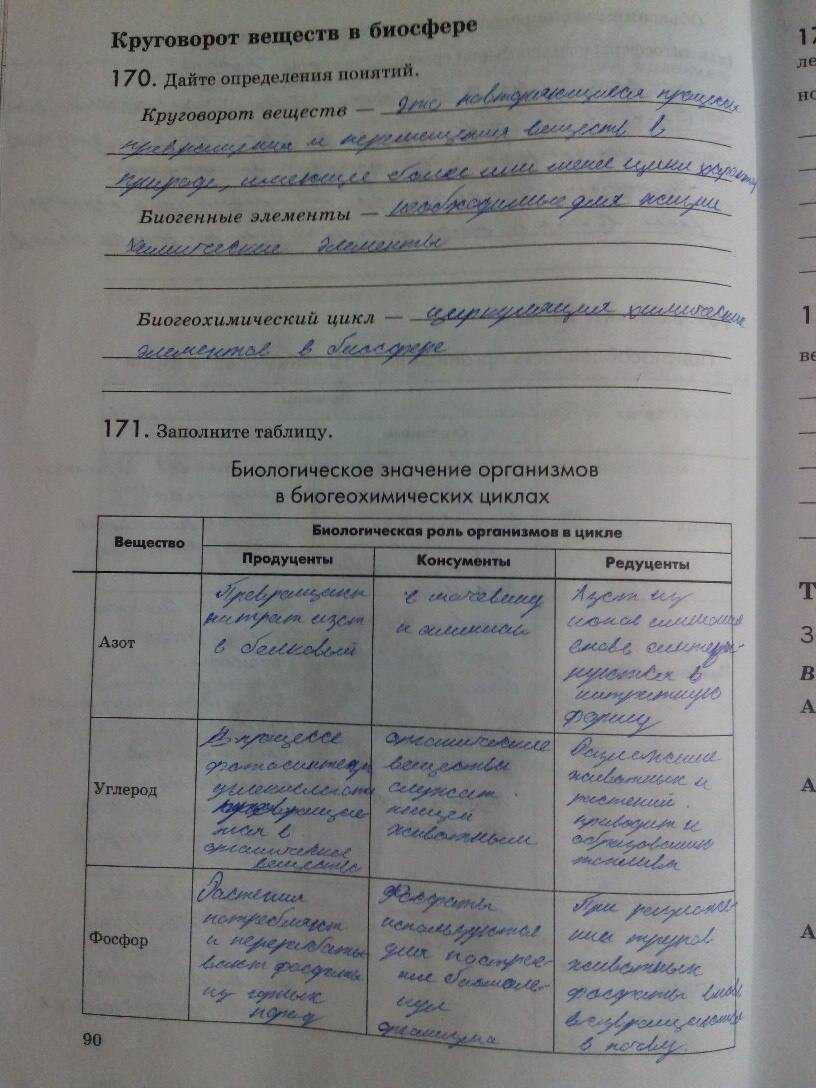 Что такое фотосинтез: что происходит в растении в процессе фотосинтеза, строение хлоропластов — что выделяется в световую и темновую фазу