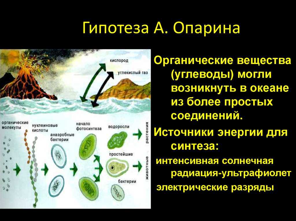 № §1гдз ответы по биологии учебник 10 класс пасечник, линия жизни