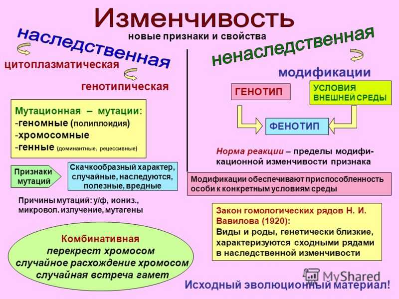 Гдз и решебник биология 9 класс пасечник, швецов - рабочая тетрадь