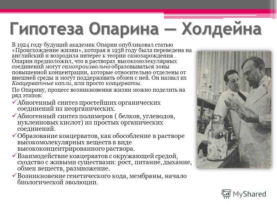 Гипотеза опарина-холдейна – основные положения о возникновении жизни на земле
