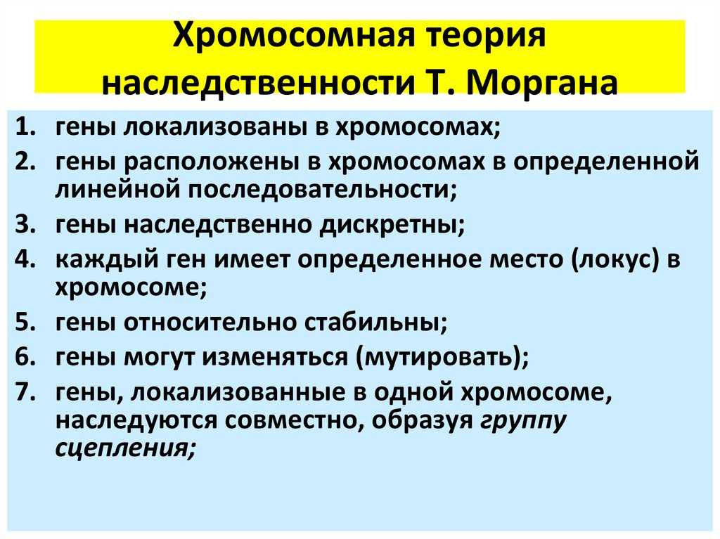 Ответы на вопросы к параграфам по биологии за 9 класс пасечник