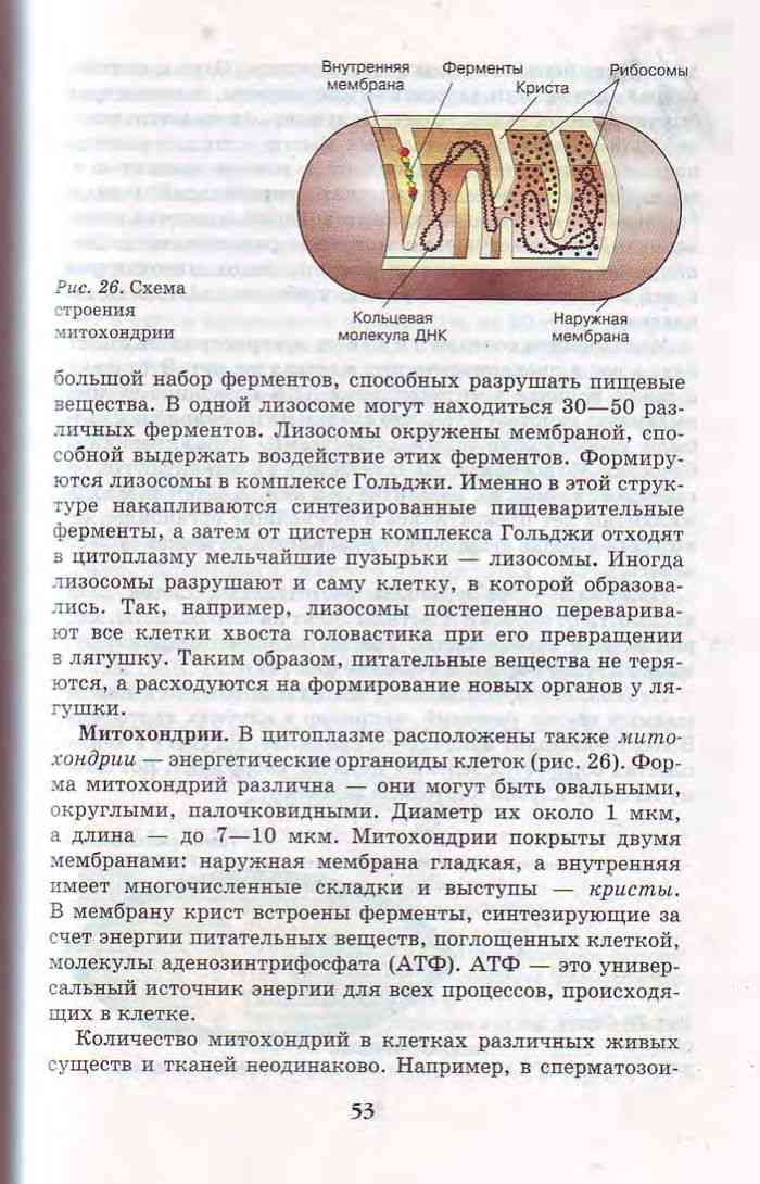 Гдз решебник по биологии 9 класс рабочая тетрадь лисов