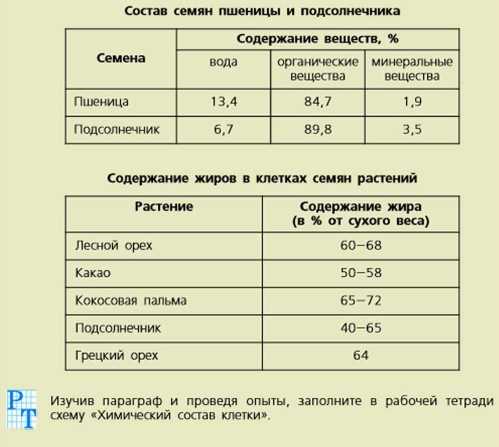 Состав семян