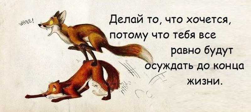 Обществознание 7 класс учебник боголюбов параграф 5
