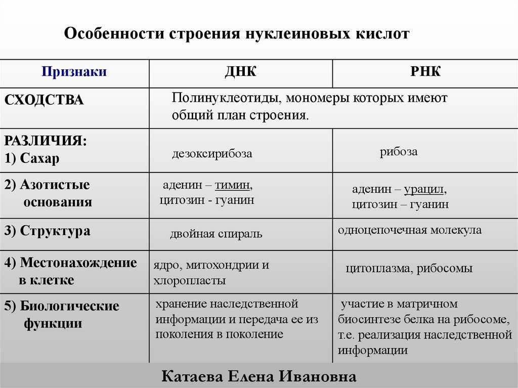 Каменский, пасечник - общая биология (гдз)