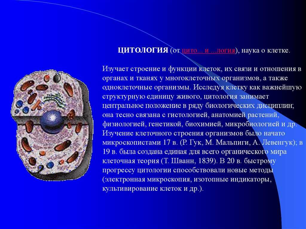 Гдз по биологии 5 класс учебник пасечник, суматохин, гапонюк